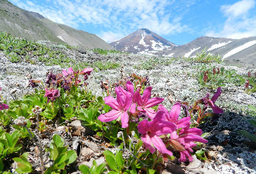 The great Kamchatka travel