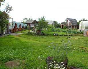 Wooden houses of a private hotel