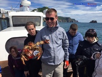 A crab caught in the Avacha bay